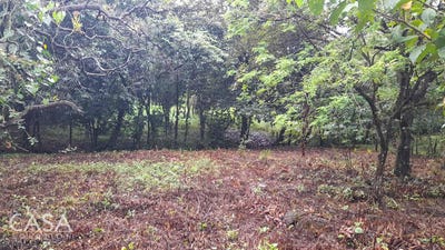 /international/pa/caldera-chiriqui-caldera-chiriqui-310106162851/