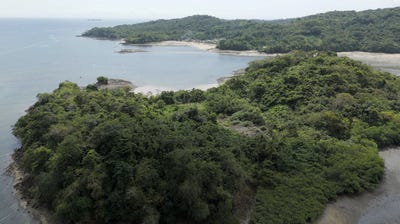 /international/pa/pearl-island-panama-city-panama-city-310106687109/
