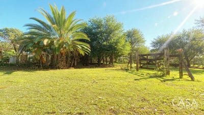 /international/pa/las-lajas-chiriqui-las-lajas-chiriqui-310107214742/