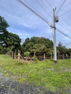 /international/pa/rio-hato-unit-guias-anton-cocle-310101103867/?lang=es