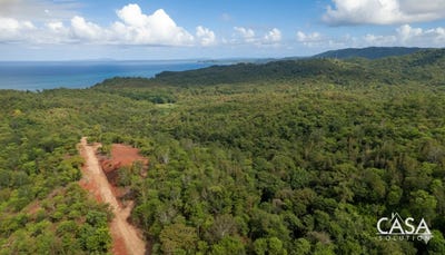 /international/pa/torio-torio-veraguas-310106389188/