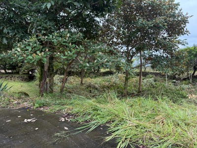 /international/pa/lot-20-emrald-dr-boquete-chiriqui-310103995942/