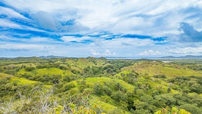 /international/pa/boca-chica-san-lorenzo-chiriqui-san-lorenzo-chiriqui-310106995110/