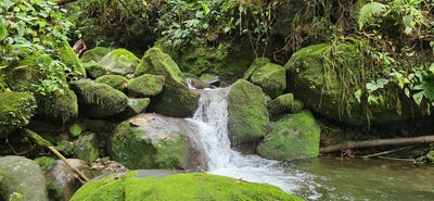 /international/pa/rural-homesteads-for-sale-in-cordillera-arriba-boqueron-chiriqui-310101202231/?lang=it