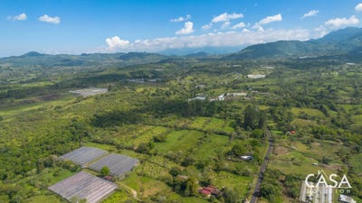 /international/pa/cordillera-cordillera-chiriqui-310106427227/
