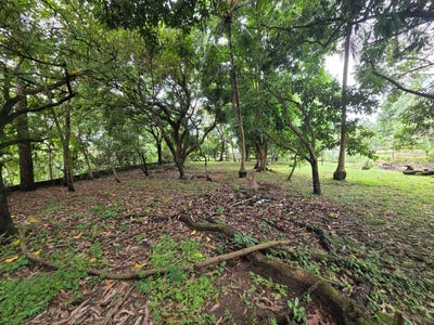 /international/pa/chepo-unit-terreno-chepo-panama-city-310103489527/