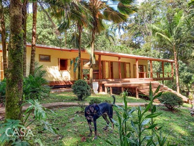 /international/pa/bocas-del-toro-province-bocas-del-toro-province-bocas-del-toro-province-310101513189/?lang=pt