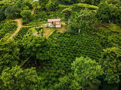/international/pa/la-pintada-penonome-cocle-la-pintada-los-santos-province-310108215738/