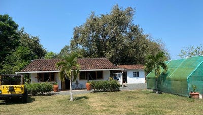 /international/pa/pedasi-pedasi-los-santos-province-310106413959/