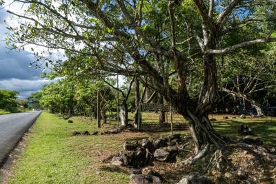 /international/pa/centrico-terreno-potrerillos-dolega-dolega-chiriqui-310107679494/