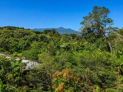 /international/pa/palmira-chiriqui-palmira-chiriqui-310108130168/