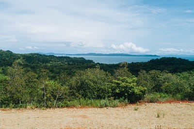 /international/pa/torio-torio-veraguas-310106398167/