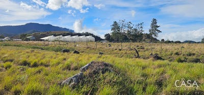 /international/pa/volcan-volcan-chiriqui-310106406649/