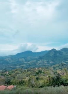 /international/pa/capira-capira-district-panama-city-310107974010/