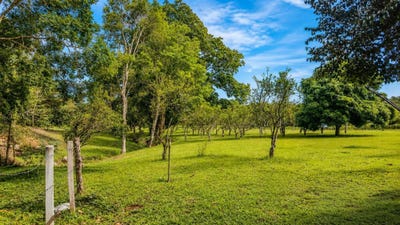 /international/pa/potrerillos-abajo-dolega-dolega-chiriqui-310108811109/