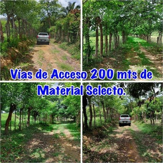 /international/pa/el-potrero-ocu-ocu-herrera-province-310101273005/?lang=zh-tw