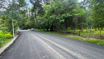 /international/pa/caldera-distrito-de-boquete-calderas-chiriqui-calderas-chiriqui-310100086807/