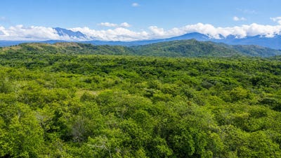 /international/pa/gualaca-district-gualaca-district-chiriqui-310108042479/