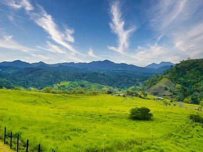 /international/pa/via-monte-lirio-santa-clara-renacimiento-rio-sereno-chiriqui-renacimiento-rio-sereno-chiriqui-310106834058/