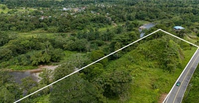 /international/pa/punta-pena-pueblo-nuevo-chiriqui-grande-bocas-del-toro-chiriqui-grande-bocas-del-toro-province-310108315940/