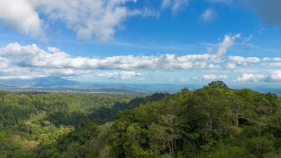 /international/pa/cabecera-de-cochea-potrerillos-dolega-chiriqui-310105228479/