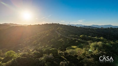 /international/pa/torio-torio-veraguas-310106409699/