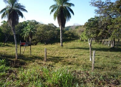 /international/pa/boca-chica-boca-chica-chiriqui-310102342876/