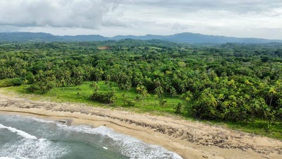 /international/pa/nombre-de-dios-panama-panama-city-310106687663/