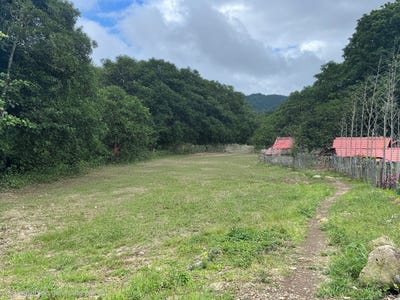/international/pa/bajo-boquete-boquete-bajo-boquete-chiriqui-boquete-bajo-boquete-chiriqui-310104477913/