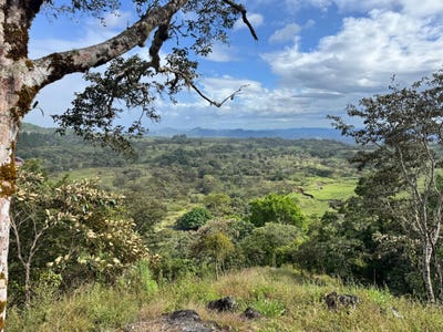 /international/pa/boquete-chiriqui-chiriqui-310104459271/