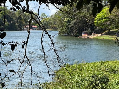 /international/pa/panama-este-cerro-azul-panama-cerro-azul-panama-cerro-azul-panama-city-310108953015/?lang=fr