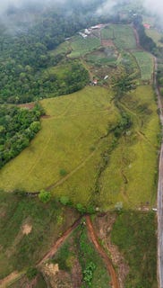 /international/pa/8-71468429089034-82-50386549226893-dolega-chiriqui-310106136672/