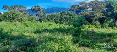 /international/pa/volcancito-boquete-chiriqui-310101468688/?lang=pt