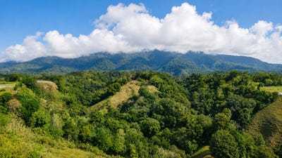 /international/pa/potrerillos-arriba-potrerillos-arriba-chiriqui-310108700768/