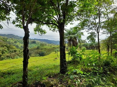 /international/pa/las-lajas-chiriqui-las-lajas-chiriqui-310105909175/