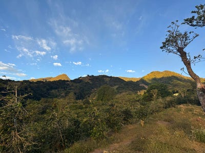 /international/pa/boquete-boquete-bajo-boquete-chiriqui-province-310099942658/