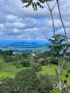 /international/pa/bugaba-district-bugaba-district-chiriqui-310106402119/