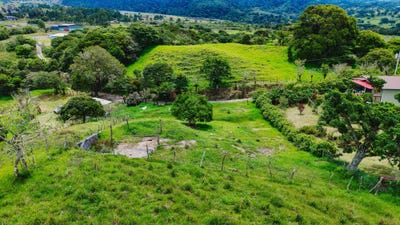 /international/pa/bugaba-chiriqui-310108181183/