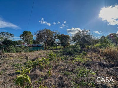 /international/pa/calle-mata-del-frances-alto-boquete-chiriqui-310104989030/