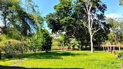 /international/pa/la-meseta-de-boqueron-boqueron-chiriqui-boqueron-chiriqui-310106140415/