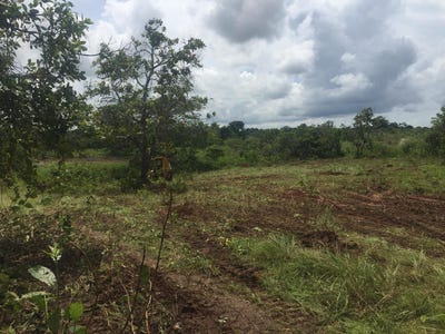 /international/pa/pacora-panama-pacora-panama-panama-pacora-panama-city-310106199717/