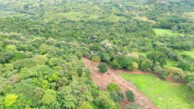 /international/pa/hacia-cerro-gordo-7-7-san-jose-provincia-de-panama-oeste-panama-san-jose-panama-city-310104775859/