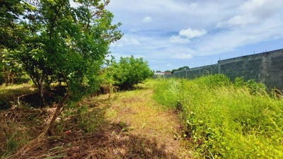 /international/pa/calle-sn-detras-coronado-center-unit-lote-chame-panama-city-310100992274/?lang=zh-tw