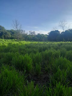 /international/pa/panama-san-felix-las-lajas-chiriqui-san-felix-las-lajas-chiriqui-310106691622/