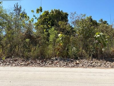 /international/pa/lote-de-terreno-en-calle-principal-de-bijao-a-1-km-de-la-playa-anton-cocle-310107580125/