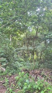/international/pa/lote-16-b-majagual-veracruz-panama-oeste-panama-arraijan-panama-city-310101351375/?lang=it