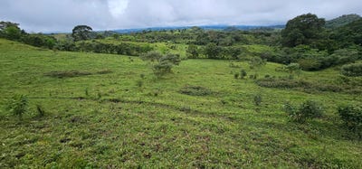 /international/pa/boqueron-cordillera-arriba-boqueron-chiriqui-310100930295/?lang=es