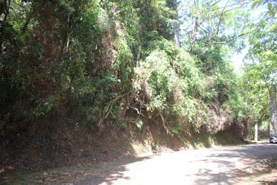 /international/pa/cerro-azul-unit-terreno-panama-panama-city-310107271747/