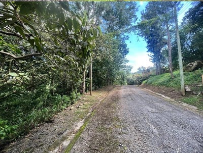 /international/pa/altos-del-maria-san-carlos-panama-city-310101084112/?lang=pt