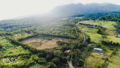 /international/pa/palmira-chiriqui-palmira-chiriqui-310101279825/?lang=es